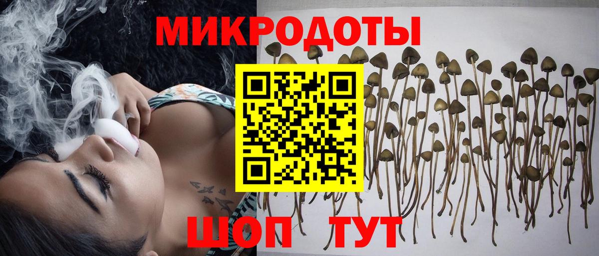 Видное  Псилоцибиновые грибы Cubensis  Вход с VPN 