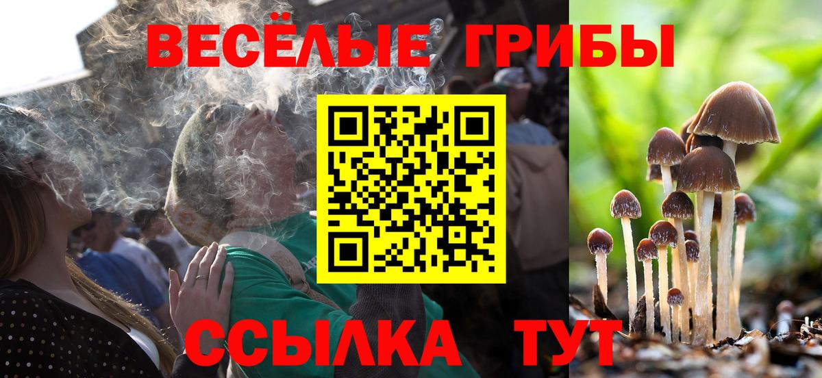 Псилоцибиновые грибы ЛСД Видное